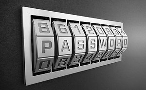 Social Media Password Protection: Where are we now?